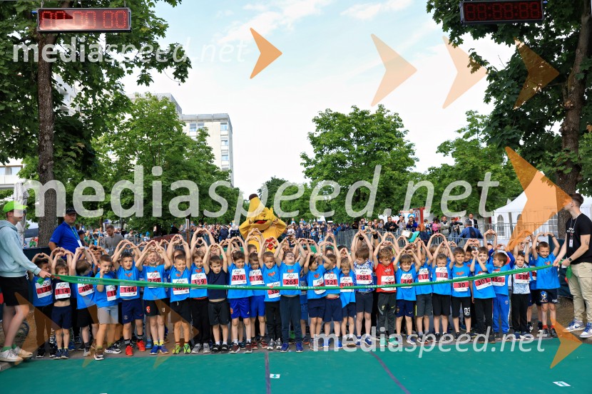 43. Maraton Treh src - tek