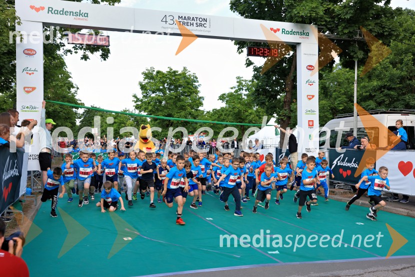 43. Maraton Treh src - tek