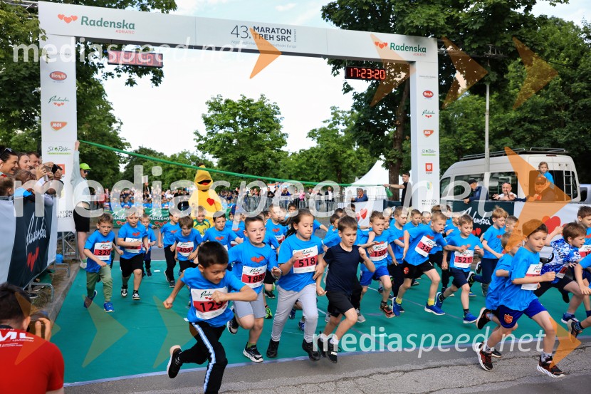 43. Maraton Treh src - tek