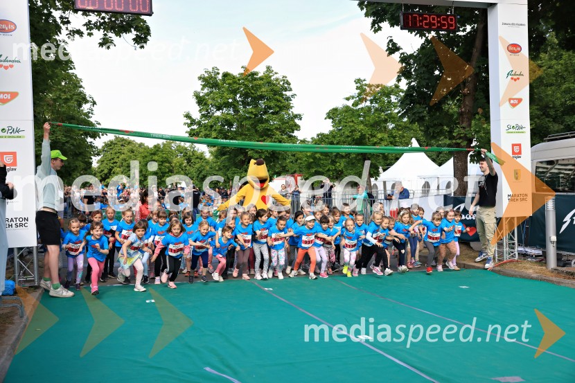 43. Maraton Treh src - tek