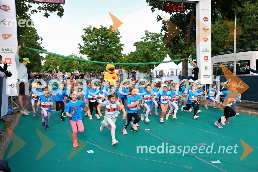 43. Maraton Treh src - tek