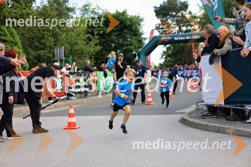 43. Maraton Treh src - tek