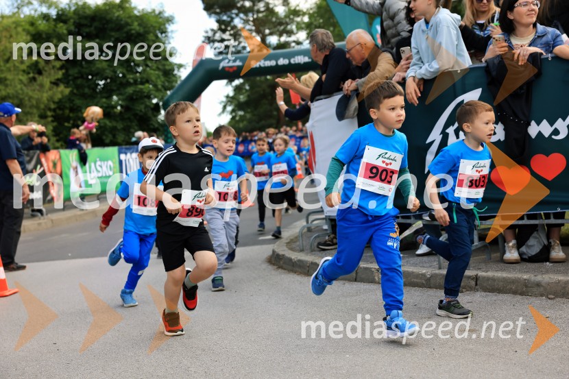 43. Maraton Treh src - tek