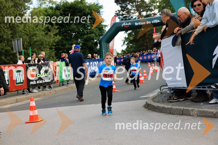 43. Maraton Treh src - tek