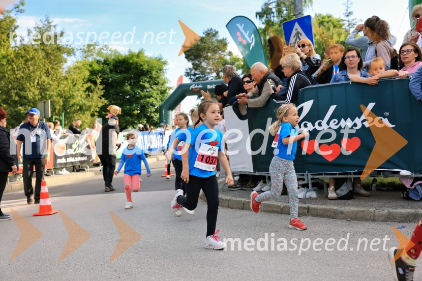 43. Maraton Treh src - tek