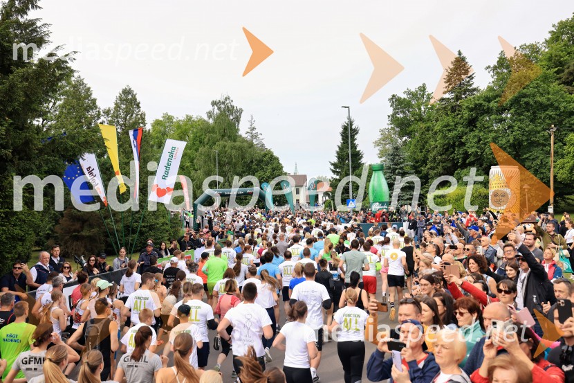 43. Maraton Treh src - tek