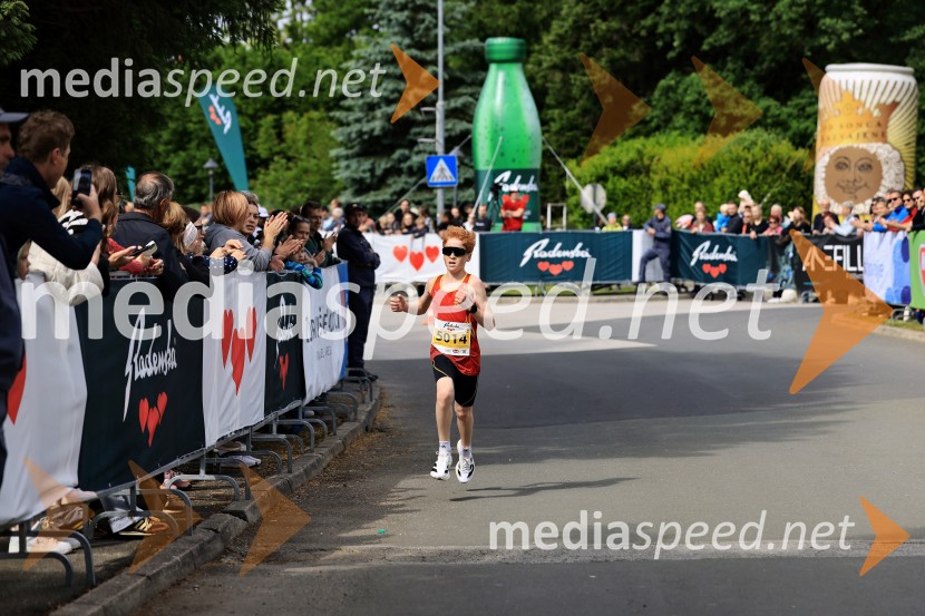 43. Maraton Treh src - tek