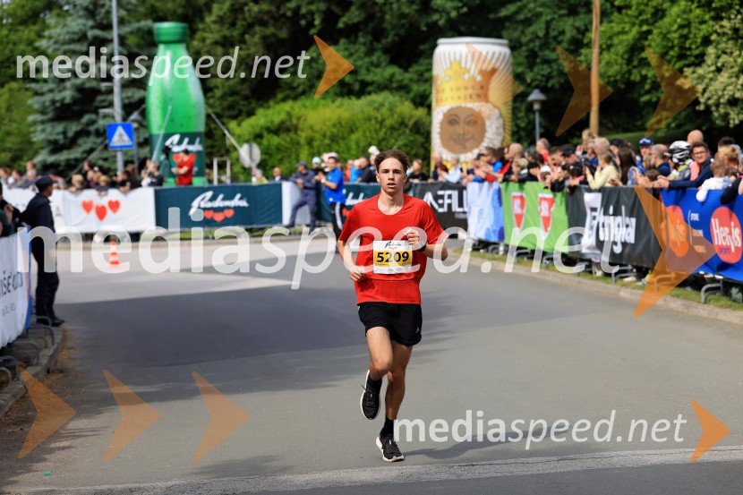 43. Maraton Treh src - tek