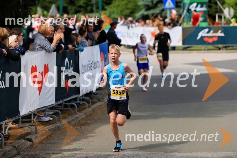 43. Maraton Treh src - tek