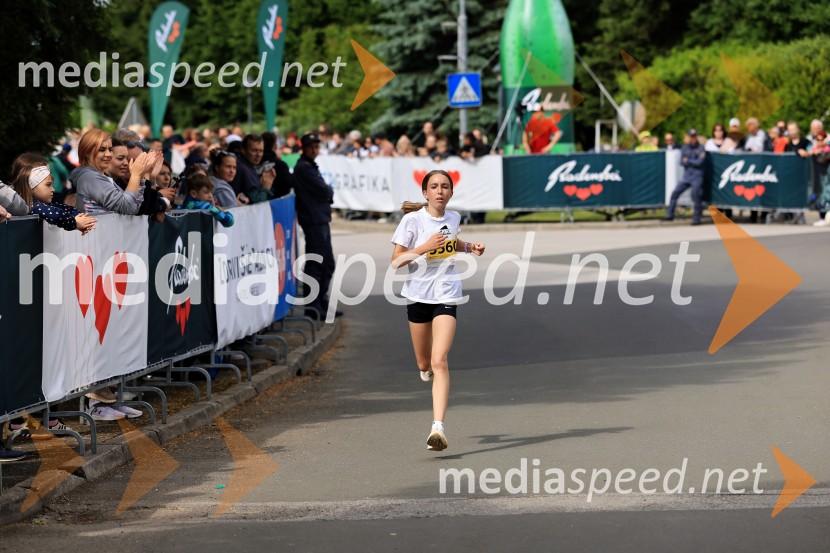 43. Maraton Treh src - tek