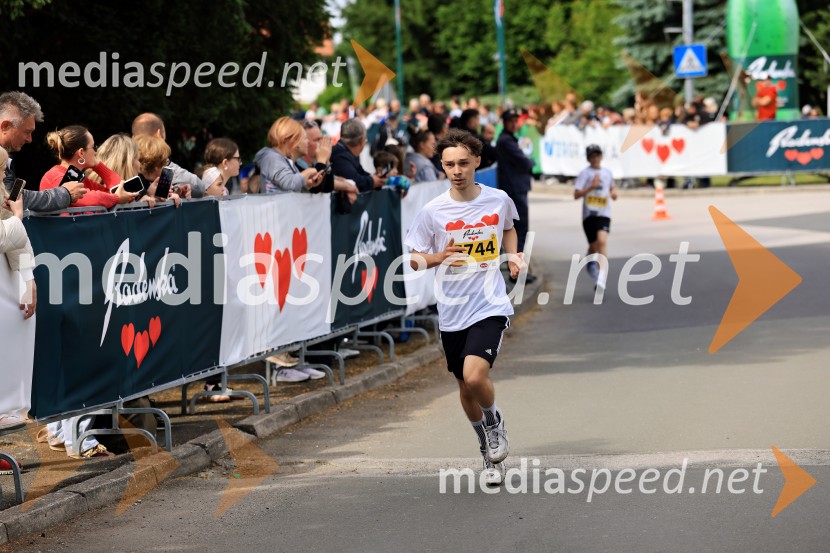 43. Maraton Treh src - tek