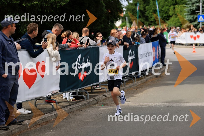 43. Maraton Treh src - tek