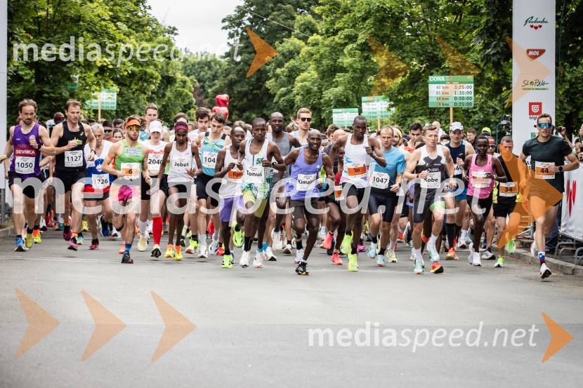 43. Maraton Treh src - tek