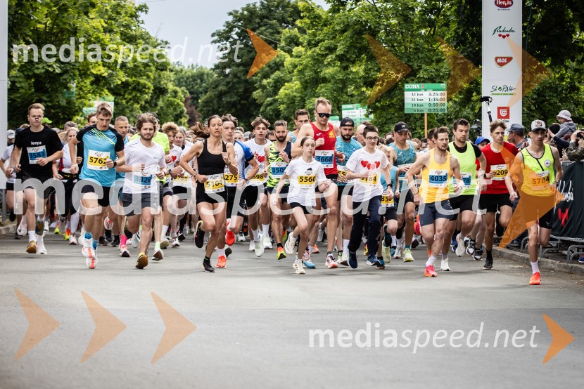 43. Maraton Treh src - tek