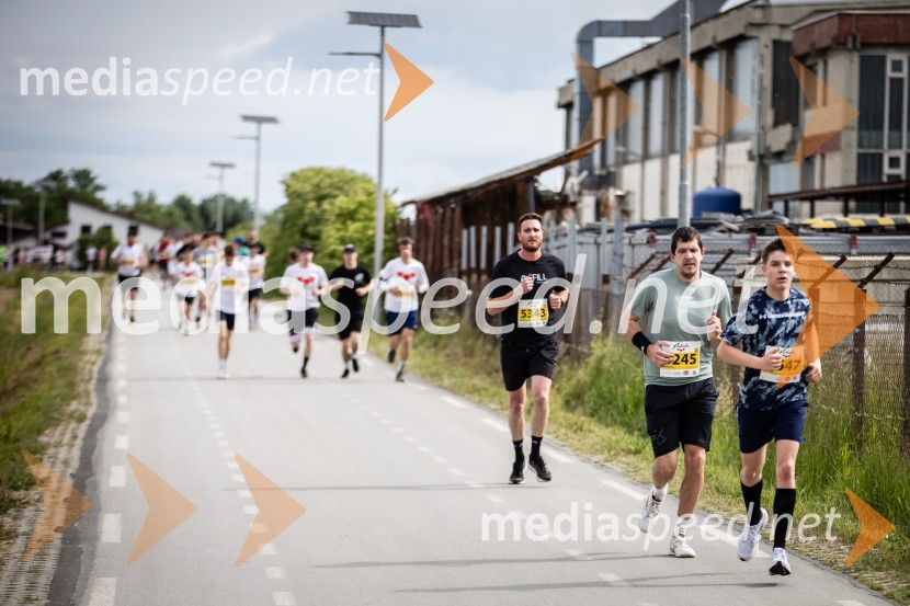 43. Maraton Treh src - tek