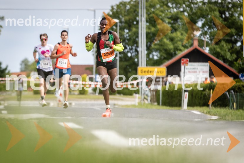 43. Maraton Treh src - tek