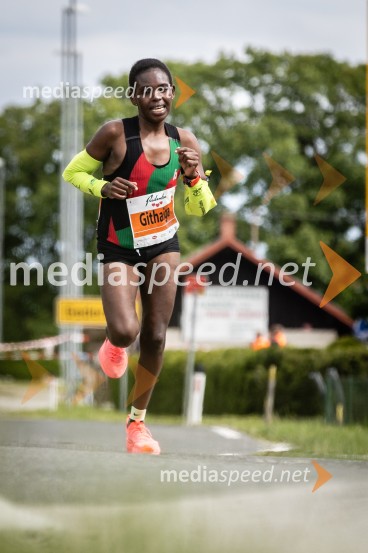 43. Maraton Treh src - tek