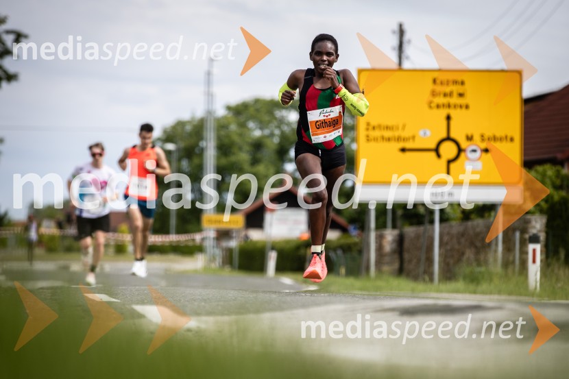 43. Maraton Treh src - tek