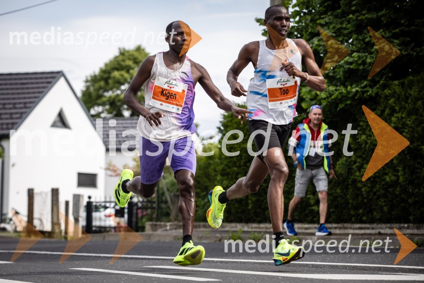 43. Maraton Treh src - tek