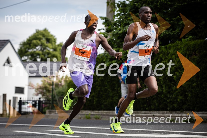 43. Maraton Treh src - tek