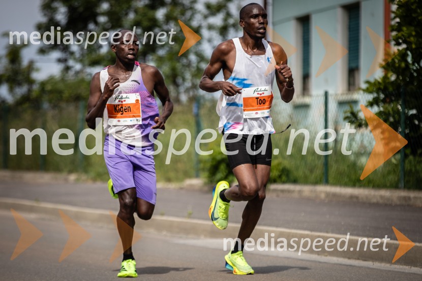 43. Maraton Treh src - tek