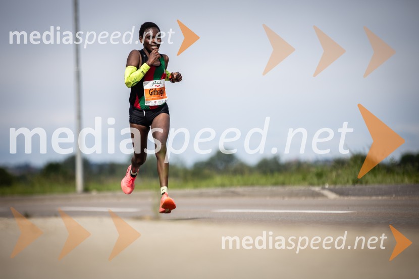 43. Maraton Treh src - tek