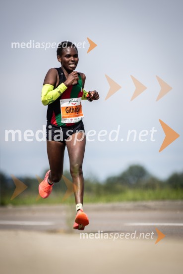 43. Maraton Treh src - tek