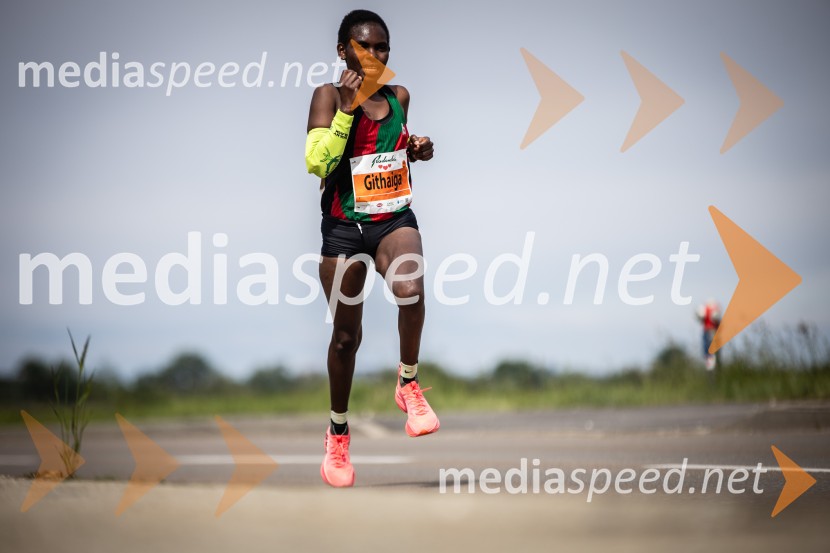 43. Maraton Treh src - tek