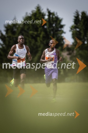 43. Maraton Treh src - tek