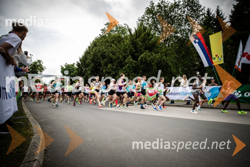 43. Maraton Treh src - tek