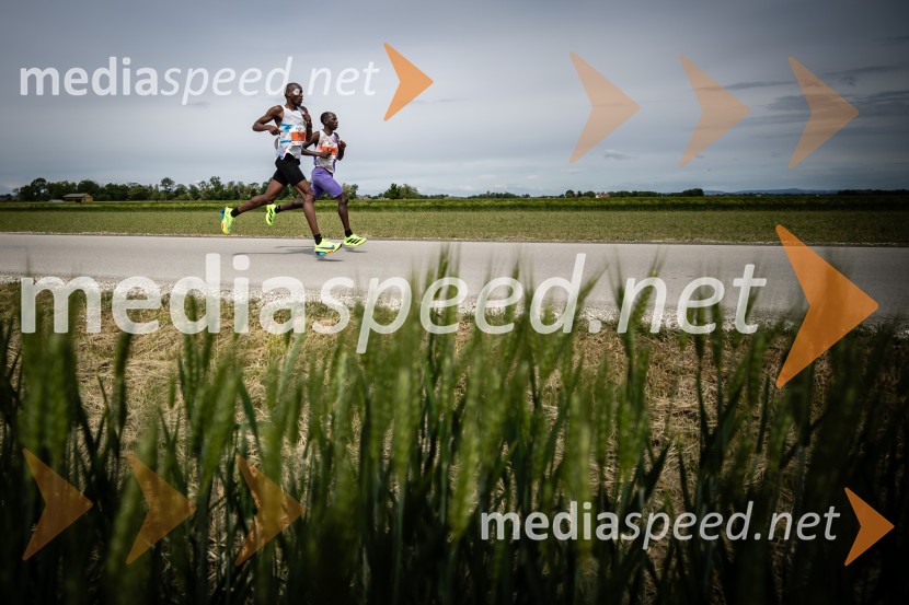 43. Maraton Treh src - tek