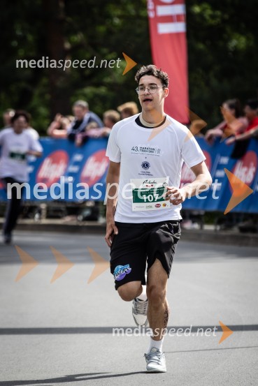 43. Maraton Treh src - tek
