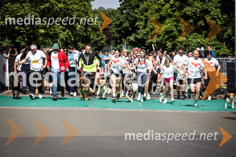 43. Maraton Treh src - tek