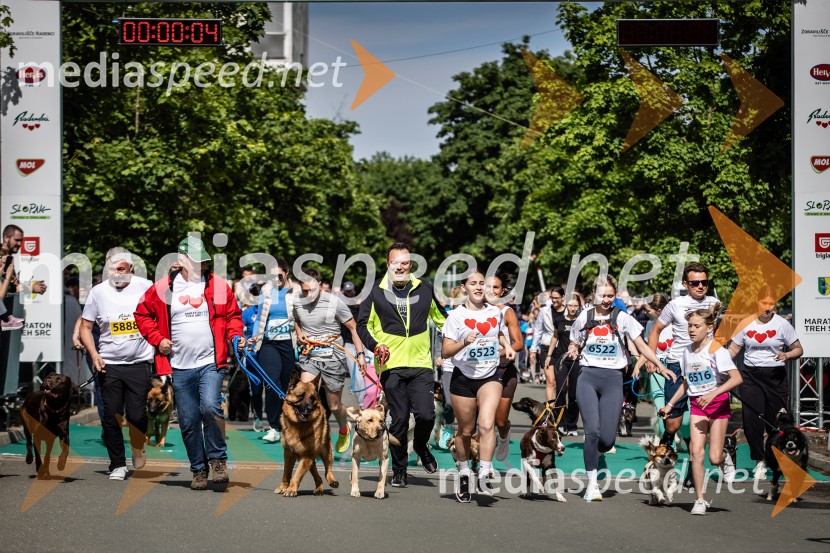 43. Maraton Treh src - tek