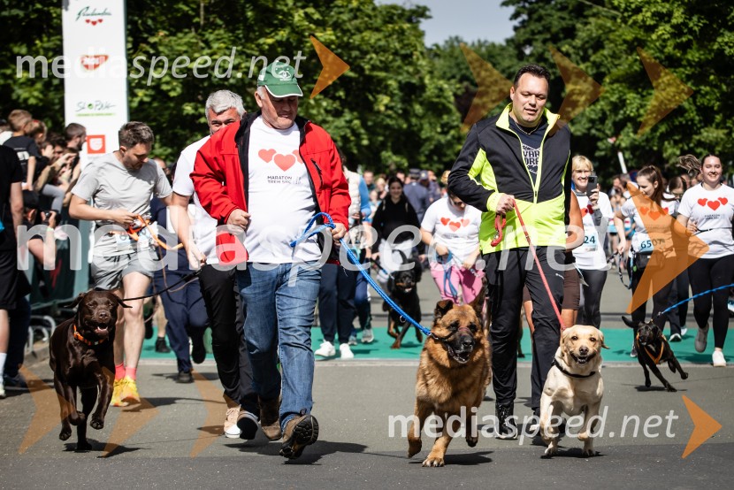 43. Maraton Treh src - tek