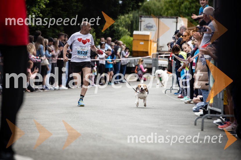 43. Maraton Treh src - tek