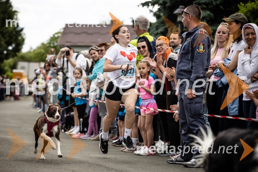43. Maraton Treh src - tek