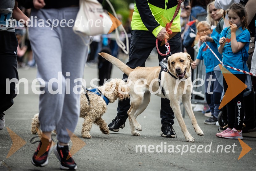 43. Maraton Treh src - tek