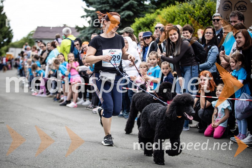 43. Maraton Treh src - tek