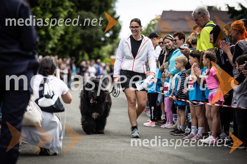 43. Maraton Treh src - tek