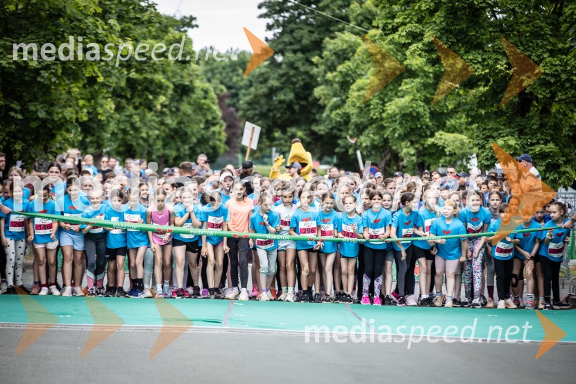 43. Maraton Treh src - tek