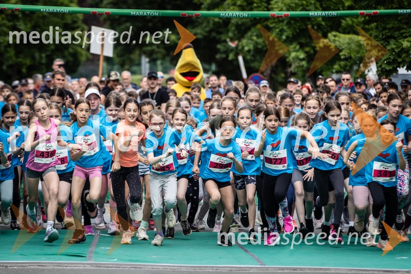 43. Maraton Treh src - tek