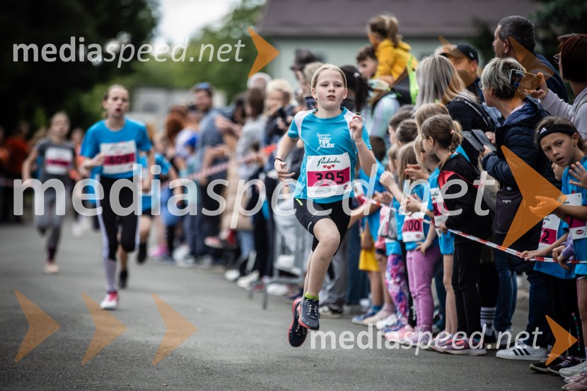 43. Maraton Treh src - tek