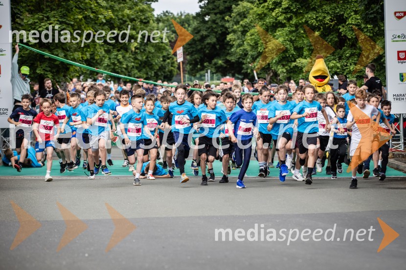 43. Maraton Treh src - tek