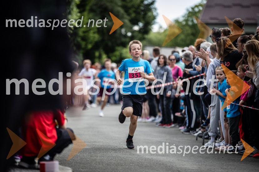 43. Maraton Treh src - tek