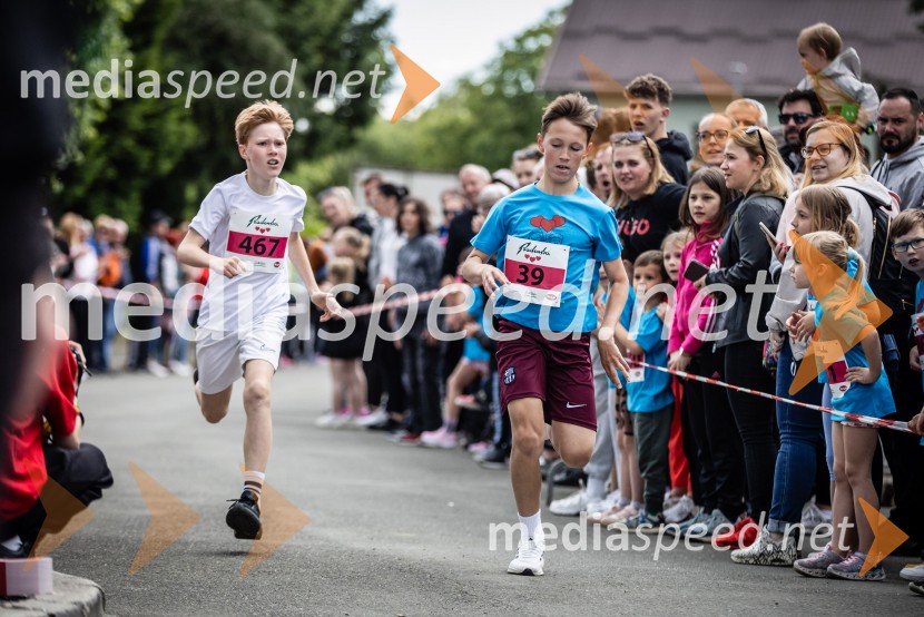 43. Maraton Treh src - tek