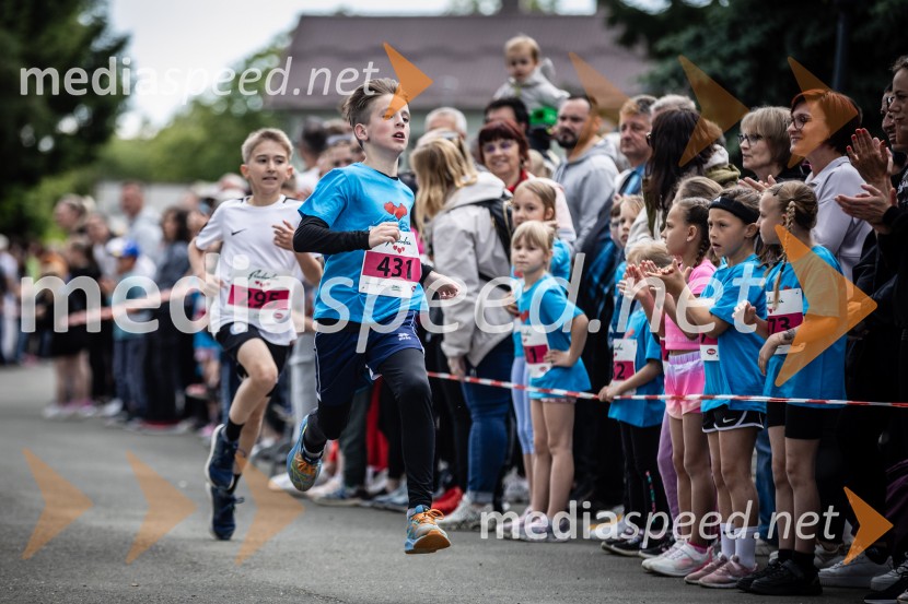 43. Maraton Treh src - tek