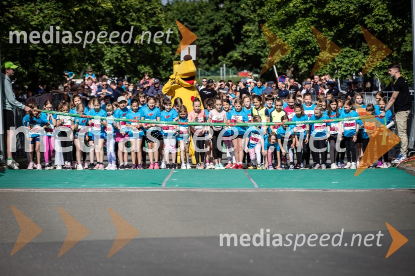 43. Maraton Treh src - tek