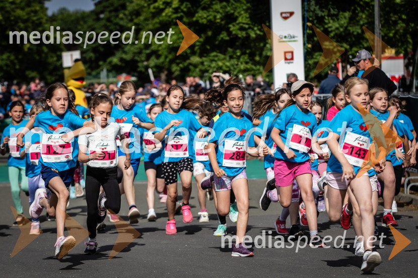 43. Maraton Treh src - tek