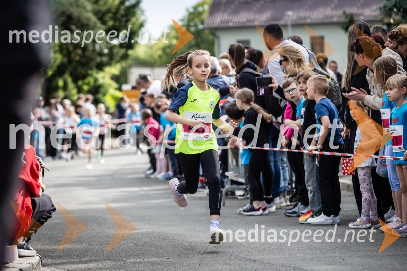 43. Maraton Treh src - tek